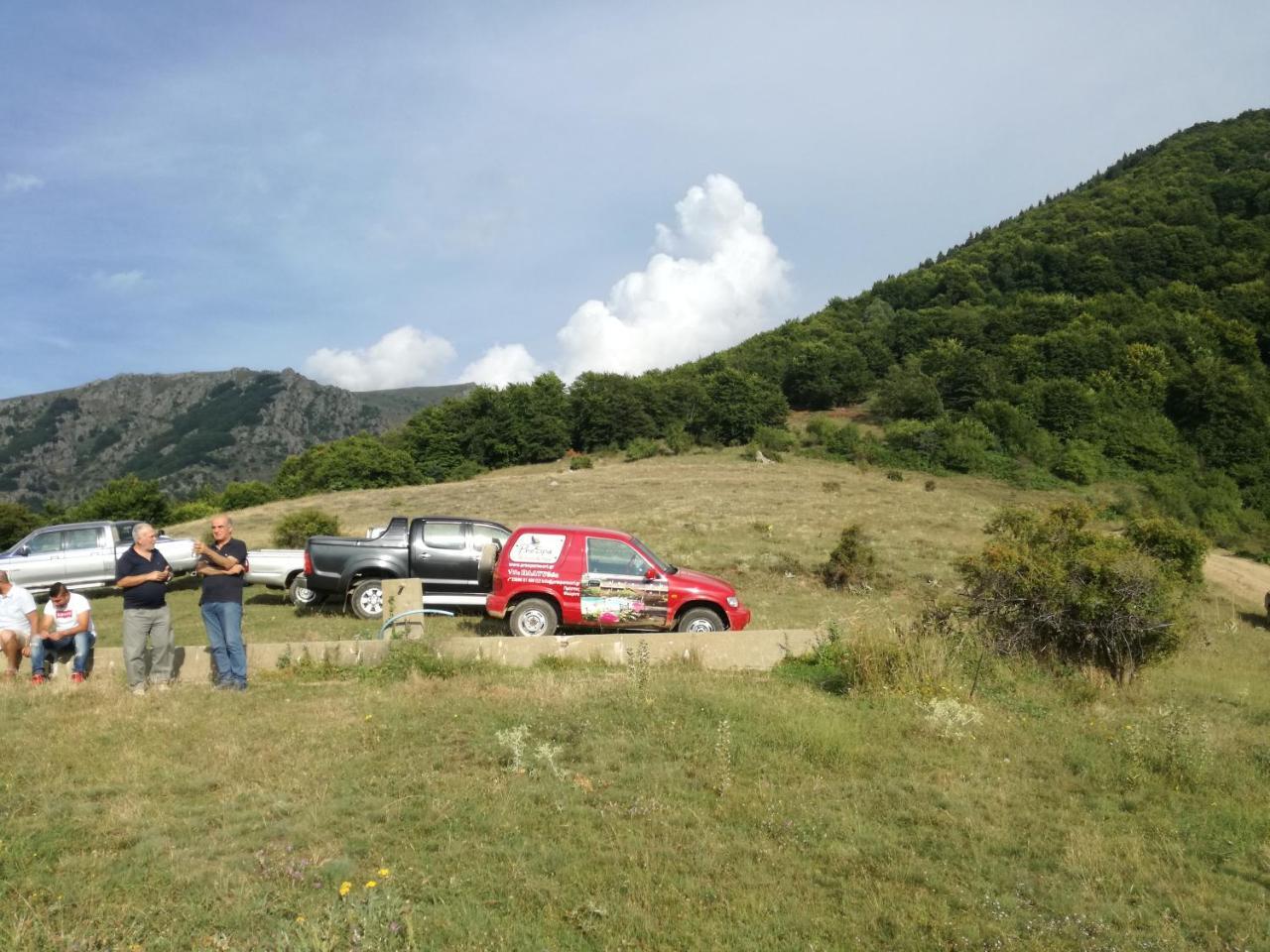 Prespa Resort & Spa Platy  Bagian luar foto