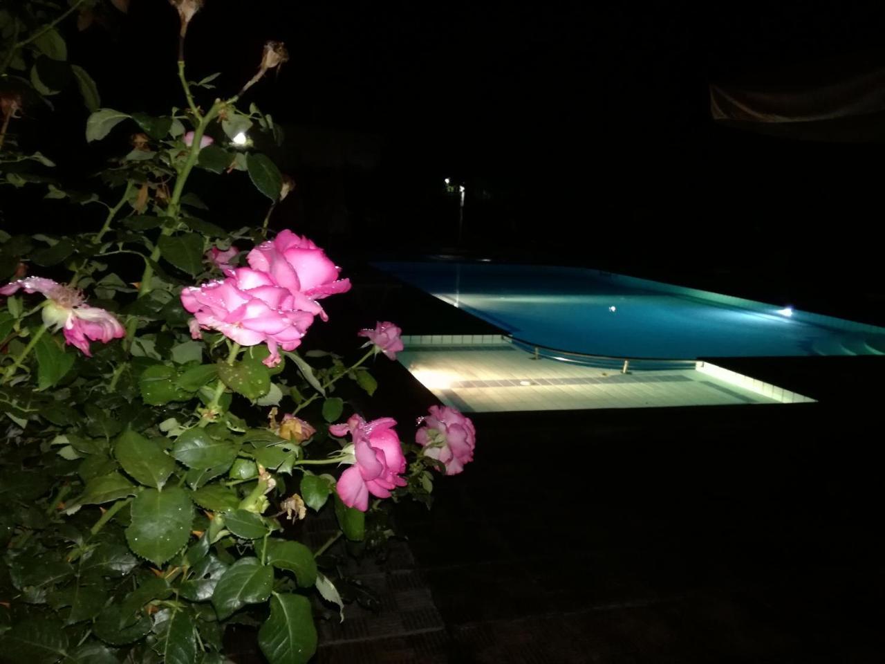Prespa Resort & Spa Platy  Bagian luar foto